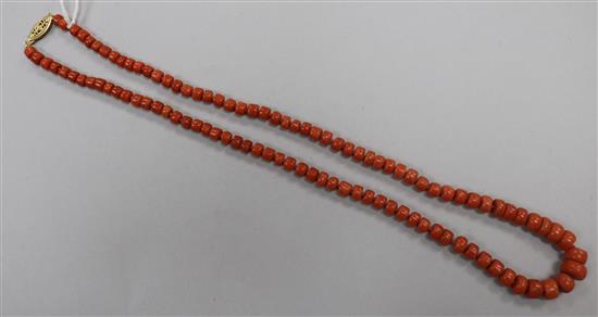 A single strand graduated coral bead necklace, 53cm.